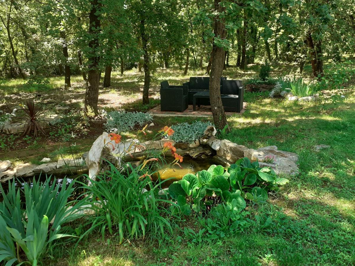 Bed And Breakfast Julia Seget  Exterior foto