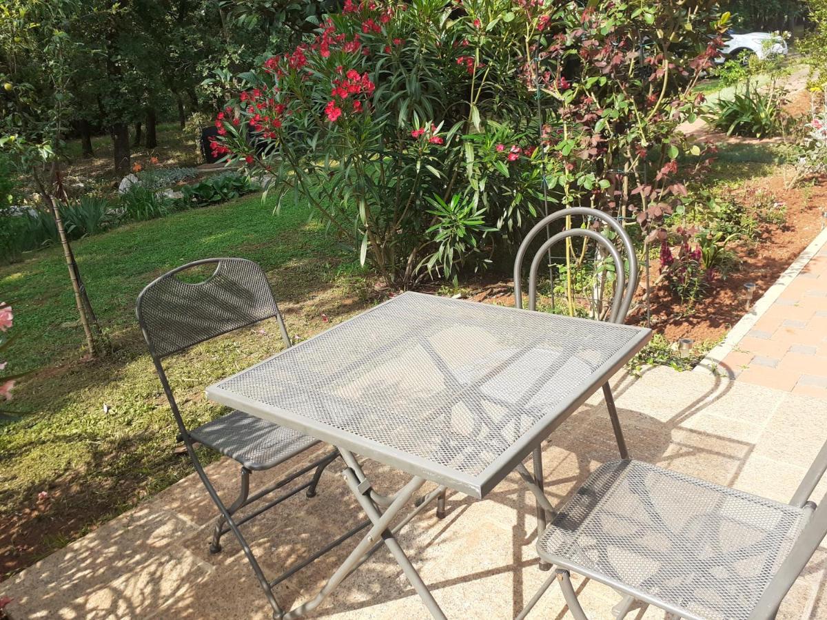 Bed And Breakfast Julia Seget  Exterior foto